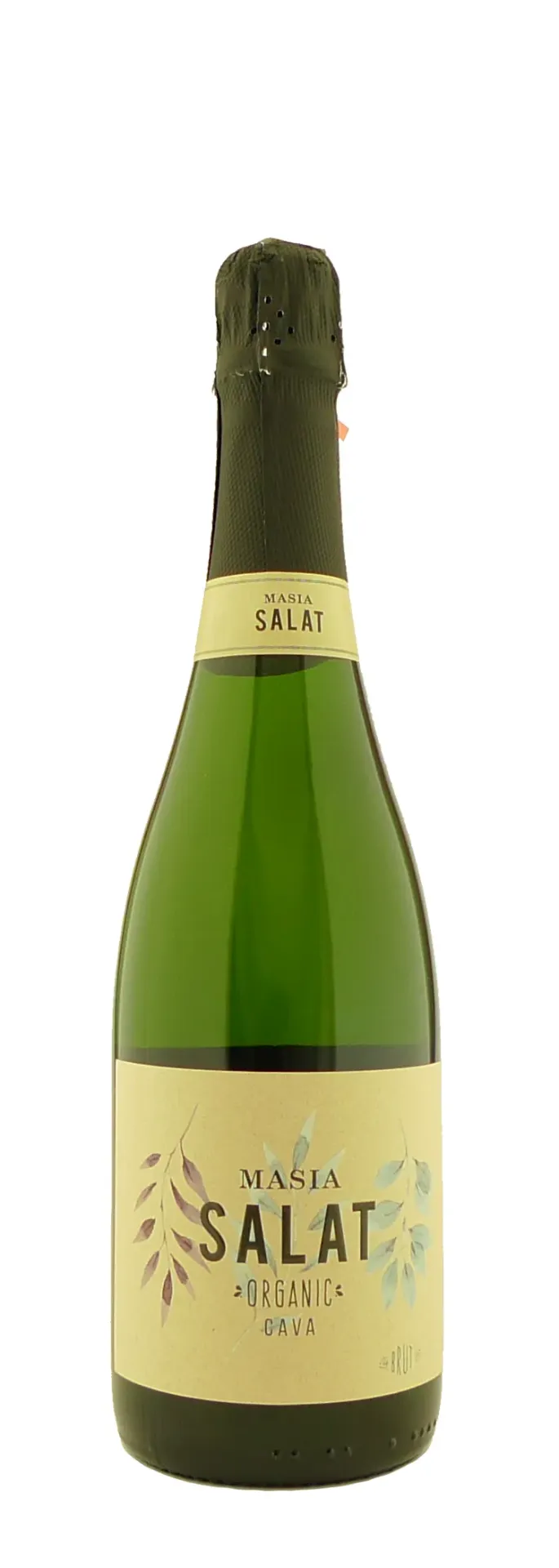 ES - Cava Masia Salat Brut - 75cl - Josep Masachs - Catalunya