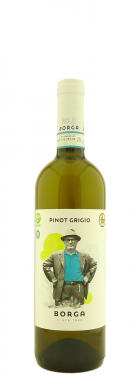 IT - Pinot Grigio - 2025 - 75cl - Cantina Borga - Veneto