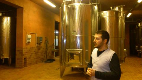 Wijnmaker Lorenzo Dionisi in de kelder.