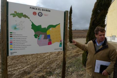 Ribera del Duero: Jaime toont het perceel waar de Barco de Piedra gemaakt wordt.