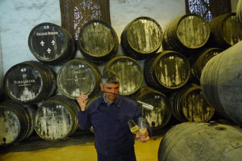 Jerez: in de (bovengrondse) kelder van Orleans-Borbon.