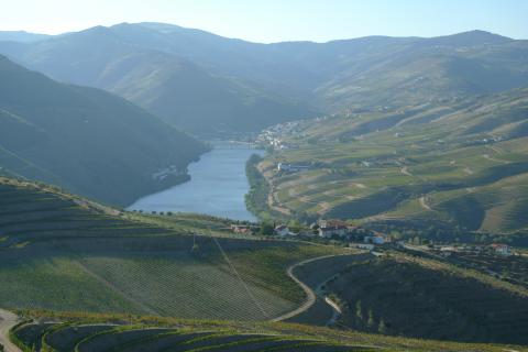 De Douro nabij Pinhão, het hart van het Porto-gebied.
